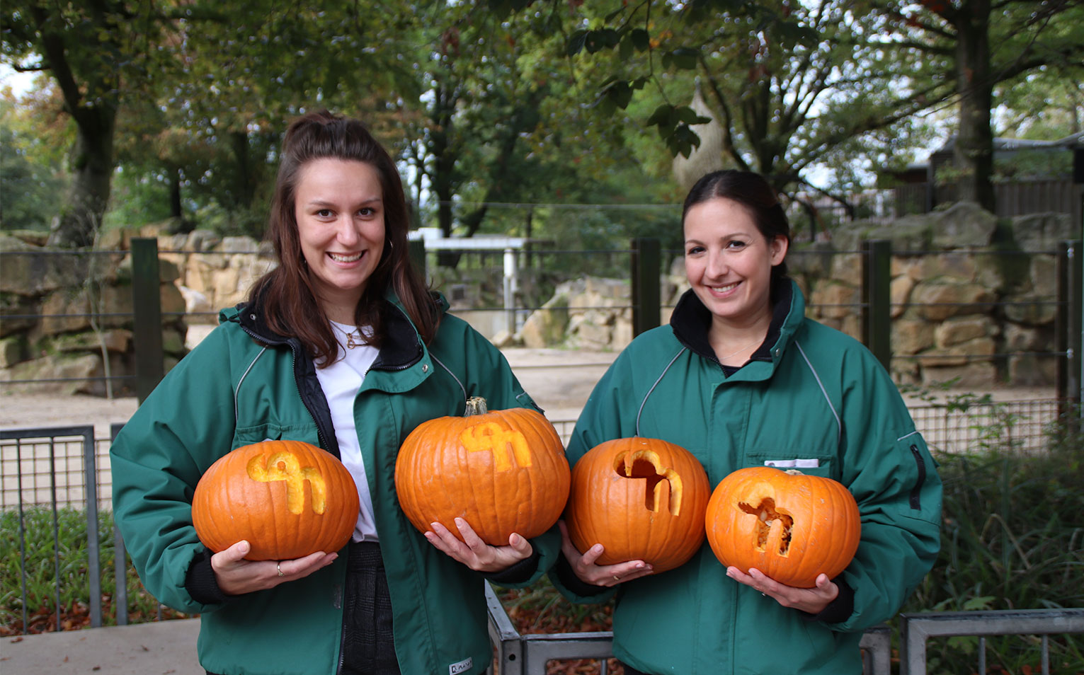 schuchmann_halloween_1019
